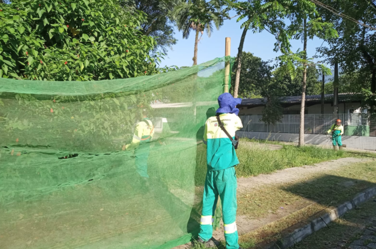 zeladoria-executa-serie-de-acoes-de-limpeza,-paisagismo-e-reparacao-de-calcadas